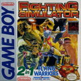 Fighting Simulator: 2-in-1 Flying Warriors (Game Boy)